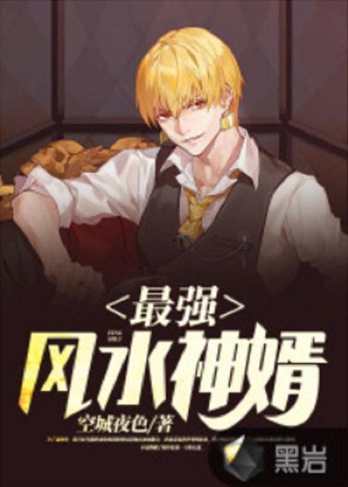 风水神婿,揭秘神秘风水秘术，成就非凡人生传奇